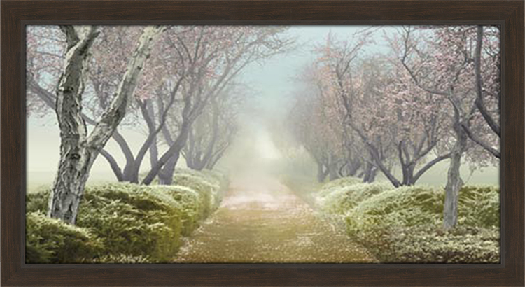 Blossom Path
